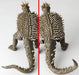 KAIYODO Sci-Fi Revoltech 021 Godzilla Anguirus Figure- Japan Figure Store - #1 Bring To You The Best Japanese Goods