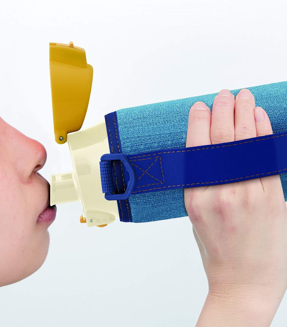 Skater 990ml Totoro Ghibli Water Bottle w/Cover KSDC10S- Japan Figure Store - #1 Bring To You The Best Japanese Goods