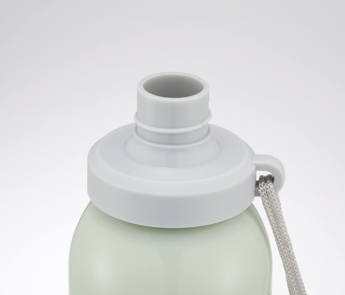 Skater 580ml SS Bottle My Neighbor Totoro Strawberry SSSC6-A- Japan Figure Store - #1 Bring To You The Best Japanese Goods