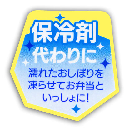 SKATER Pokemon Pikachu Hand Towel With Case- Japan Figure Store - #1 Bring To You The Best Japanese Goods