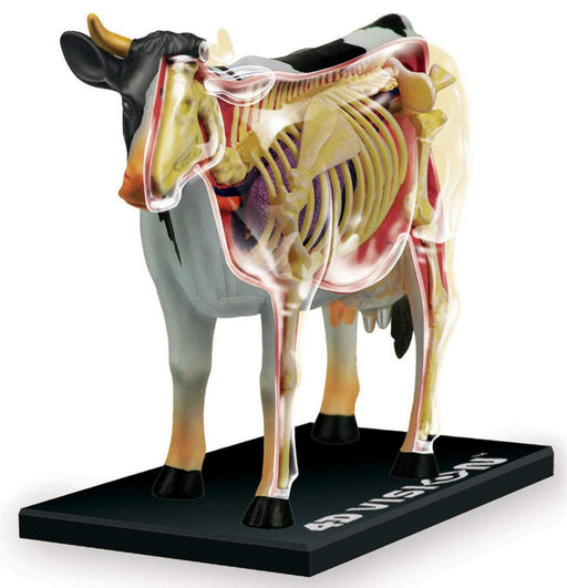 AOSHIMA 78198 4D Vision No.3 Cow Anatomy Model Non-Scale Kit- Japan Figure Store - #1 Bring To You The Best Japanese Goods