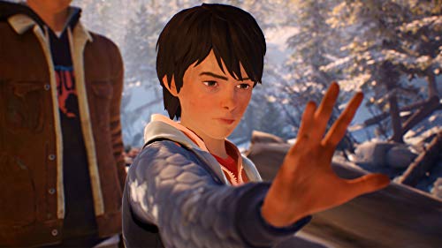 Square Enix Life Is Strange 2 Sony Playstation4 - New Japan Figure 4988601010511 4