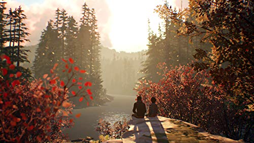 Square Enix Life Is Strange 2 Sony Playstation4 - New Japan Figure 4988601010511 5