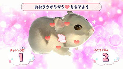 Success Djungarian Monogatari [Nintendo Switch] - New Japan Figure 4944076005193 6