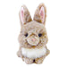 SUNLEMON Plush Doll Lapinou Mini Rex Tjn- Japan Figure Store - #1 Bring To You The Best Japanese Goods