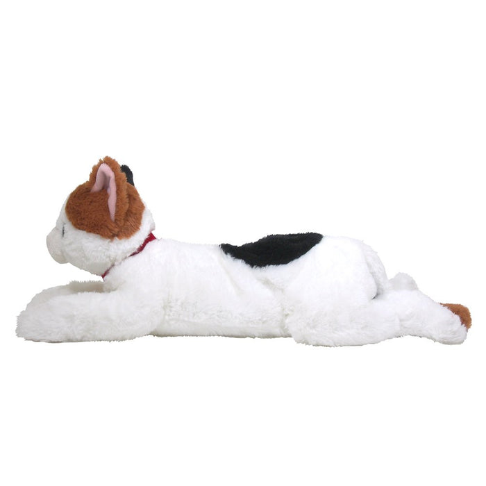 SUNLEMON Plush Doll Hiza Neko Calico Cat Size M Tjn- Japan Figure Store - #1 Bring To You The Best Japanese Goods