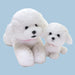 SUNLEMON Plush Doll Pups! Bichon Frise Size S Tjn- Japan Figure Store - #1 Bring To You The Best Japanese Goods