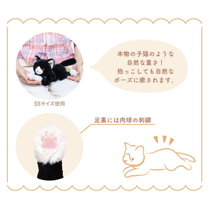 Sun Lemon Knee Cat SS P-8432- Japan Figure Store - #1 Bring To You The Best Japanese Goods