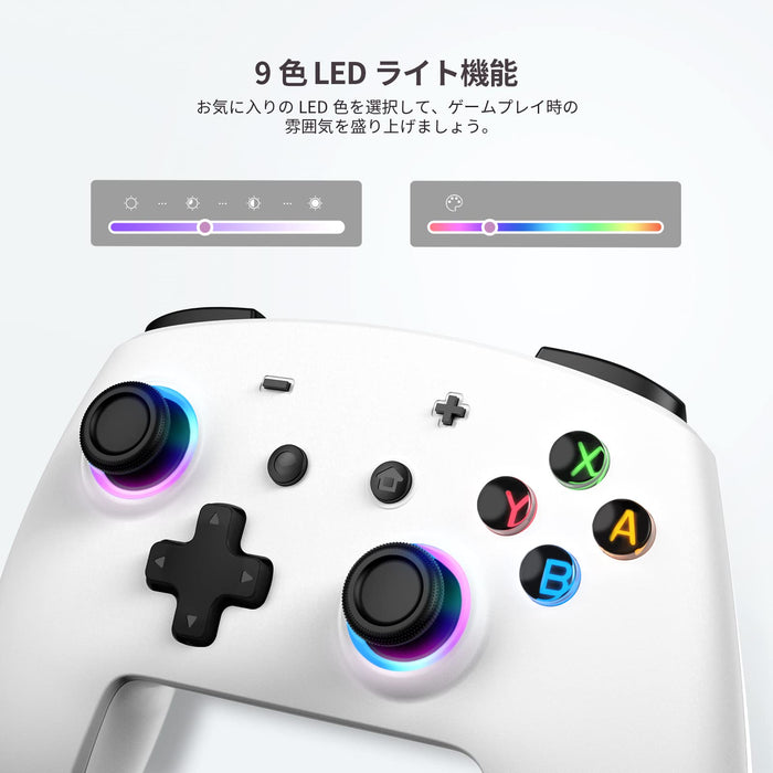 Echtpower Switch Controller: Bluetooth Double Vibration 6 Axis Gyro Continuous Fire Long Time Use Compatible With Switch/Switch Lite/Switch Oled/Windows/Android/Ios- Japan Figure Store - #1 Bring To You The Best Japanese Goods