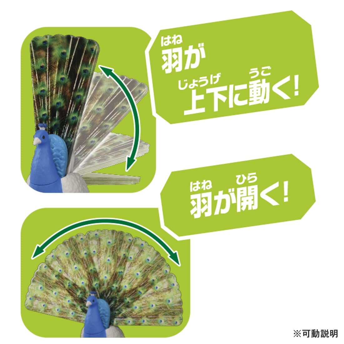 Takara Tomy Ania AS-16 Indian Peacock Dinosaur Toy for Kids Ages 3+- Japan Figure Store - #1 Bring To You The Best Japanese Goods