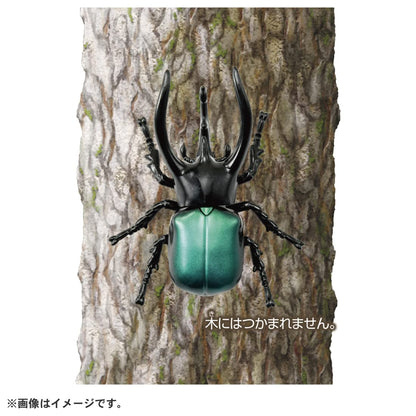 Takara Tomy Ania AS-39 Caucasus Beetle Toy for Kids Over 3 Years Old- Japan Figure Store - #1 Bring To You The Best Japanese Goods