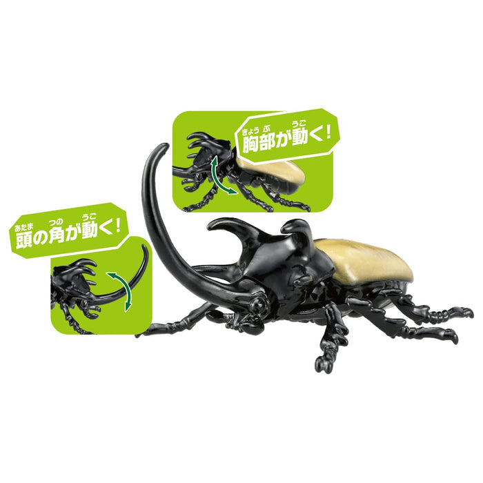Takara Tomy Ania As-41 Gohonzu Beetle Dinosaur Insect Toy Japan Age 3+- Japan Figure Store - #1 Bring To You The Best Japanese Goods