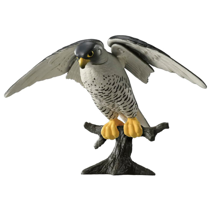 Takara Tomy Ania As-44 Falcon Animal Dinosaur Toy Japan Age 3+- Japan Figure Store - #1 Bring To You The Best Japanese Goods
