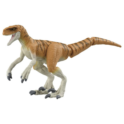 Takara Tomy Ania Jurassic World Atrochiraptor Tiger Dinosaur Toy for Ages 3+- Japan Figure Store - #1 Bring To You The Best Japanese Goods