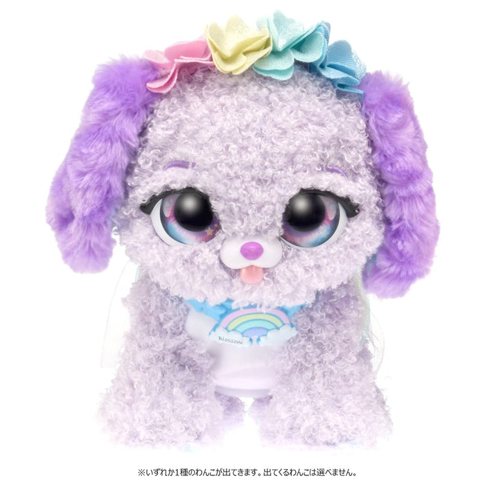 Takara Tomy Pet Rainbow Fairy- Japan Figure Store - #1 Bring To You The Best Japanese Goods