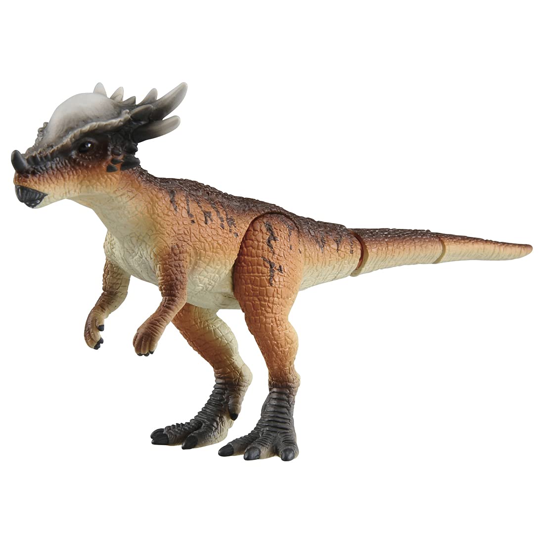 Takara Tomy Ania Jurassic World Stygimoloch Realistic Dinosaur Toy Suitable for Ages 3+- Japan Figure Store - #1 Bring To You The Best Japanese Goods