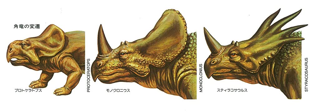 Tamiya 1/35 Triceratops 60201 Plastic Model- Japan Figure Store - #1 Bring To You The Best Japanese Goods