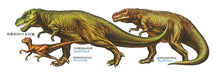 Tamiya 1/35 Dinosaur Series No.3 Tyrannosaurus Plastic Model 60203 Made In Japan- Japan Figure Store - #1 Bring To You The Best Japanese Goods