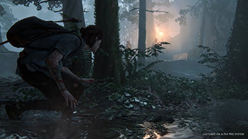 The Last Of Us Part Ii Sony Computer Entertainment Ps4 Playstation 4 - New Japan Figure 4948872311618 12