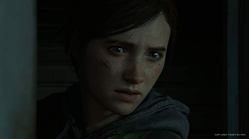 The Last Of Us Part Ii Sony Computer Entertainment Ps4 Playstation 4 - New Japan Figure 4948872311618 2