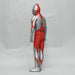 Ultraman (B Type) / Mega Soft Vinyl Kit Reprint Non-Scale Height Approx 45Cm Soft Vinyl Unpainted Assembly Kit 4571587310616- Japan Figure Store - #1 Bring To You The Best Japanese Goods