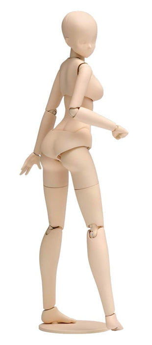 WAVE Sr021 Movable Body Female Type Standard 1/12 Scale Kit- Japan Figure Store - #1 Bring To You The Best Japanese Goods