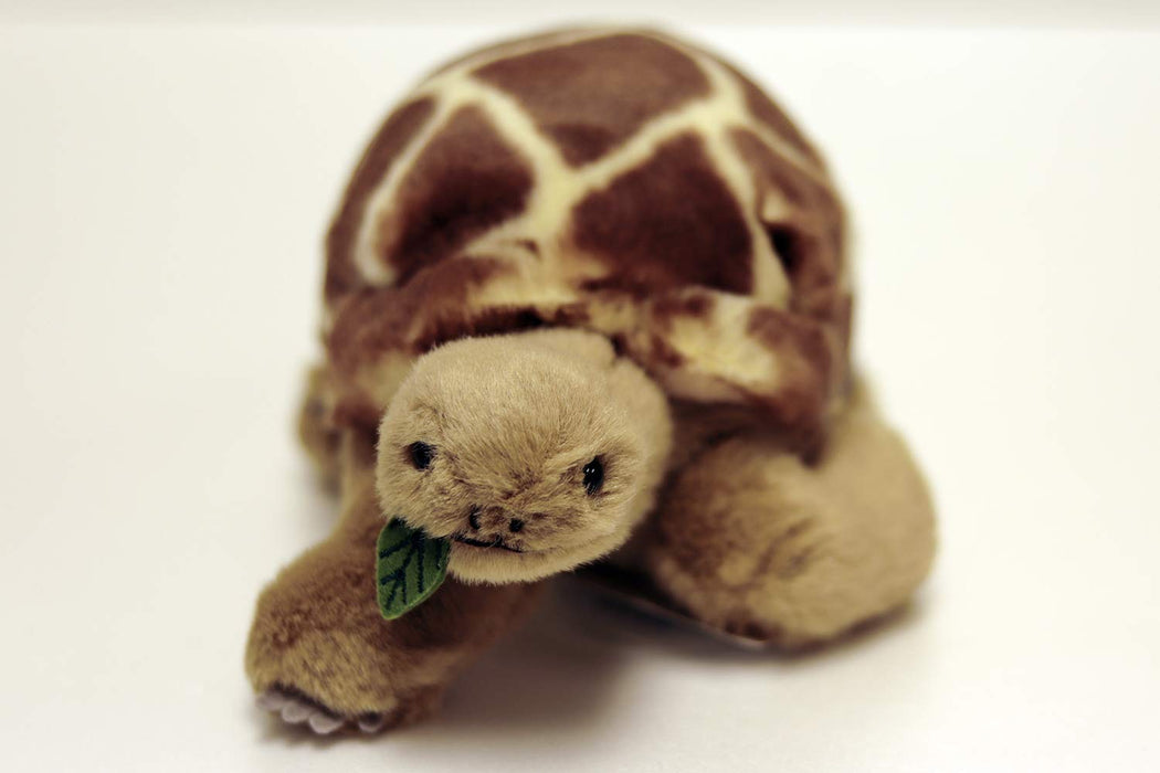 YOSHITOKU Plush Doll Land Animal Friends Tortoise- Japan Figure Store - #1 Bring To You The Best Japanese Goods