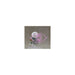 #Good Smile Company Nendoroid Nier Replicant Ver. 1.22474487139... Emil Figure - Pre Order Japan Figure 4988601357661 4